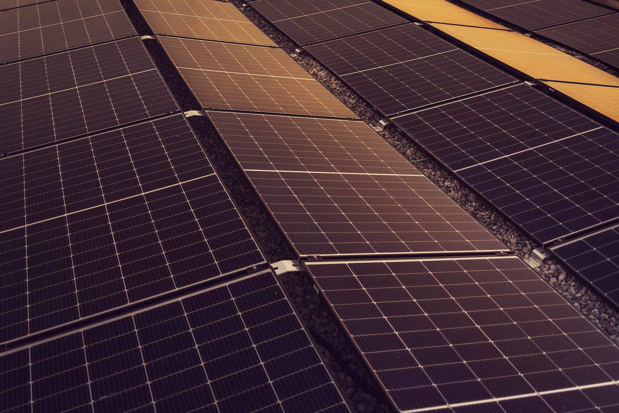 Solar panels are shown in this photo